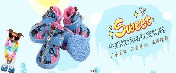 廣州市寵陽寵物用品與本公司正式簽署網(wǎng)站項(xiàng)目合作，開啟運(yùn)動項(xiàng)目經(jīng)營新篇章